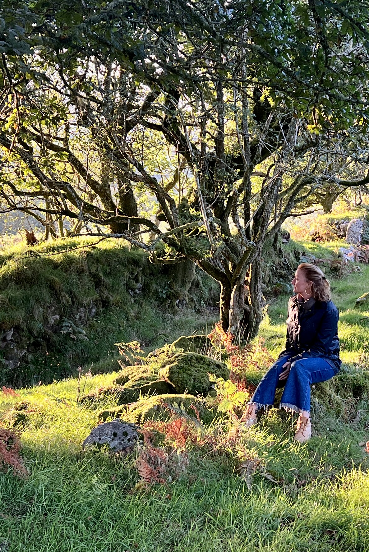 Bodmin Magic